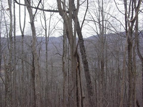 Hiawassee Vacant Lot with Views