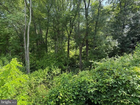 Wooded Lot in Lumberton, NJ