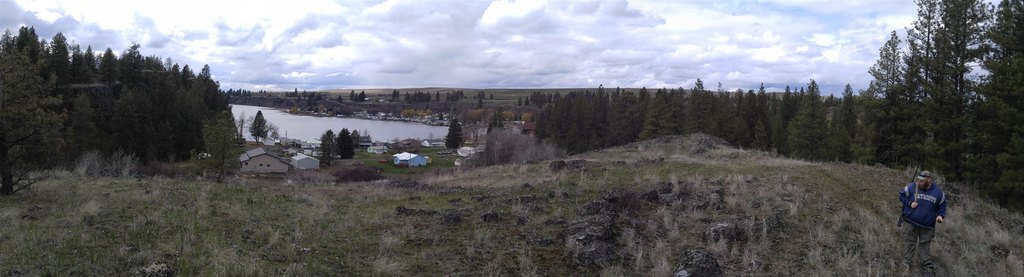 Picture 5