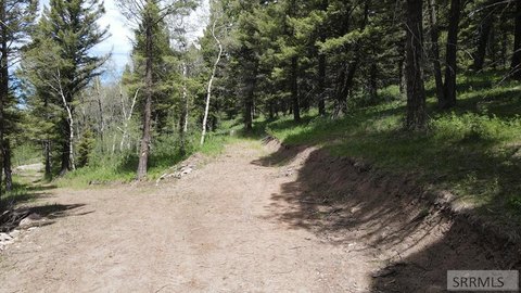 Island Park Acreage in Shadow Wood