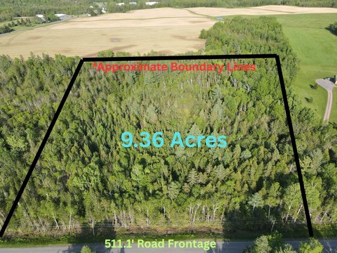 Mapleton Wooded Parcel For Sale