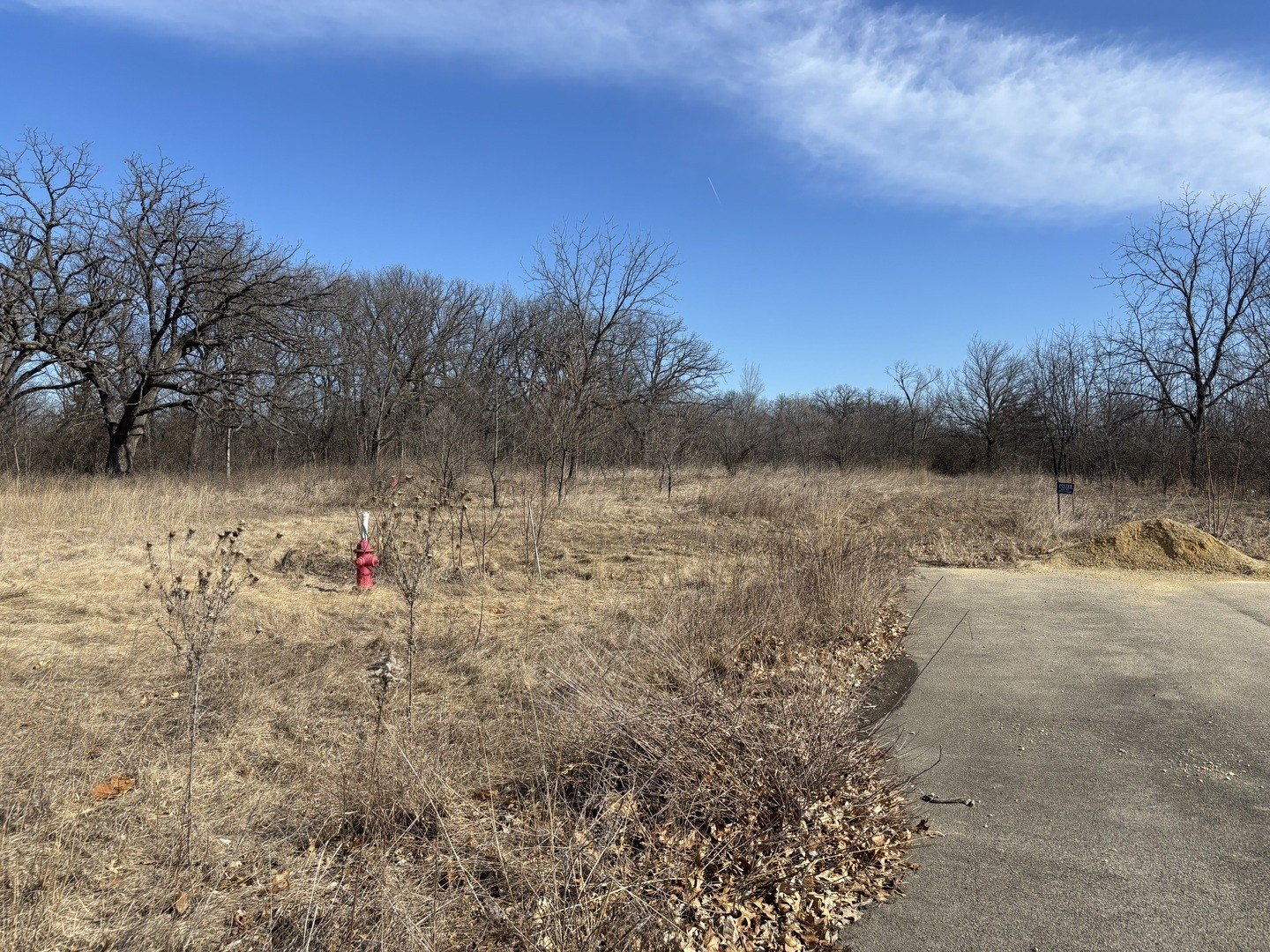 Two Contiguous Lots in Albany