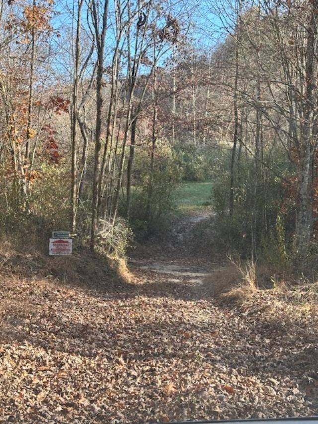 Secluded Acreage Ideal for Hunting