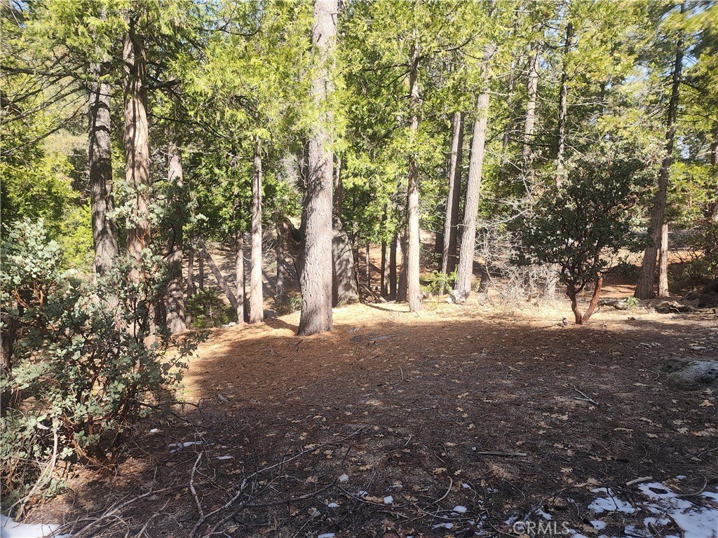 Picture 22