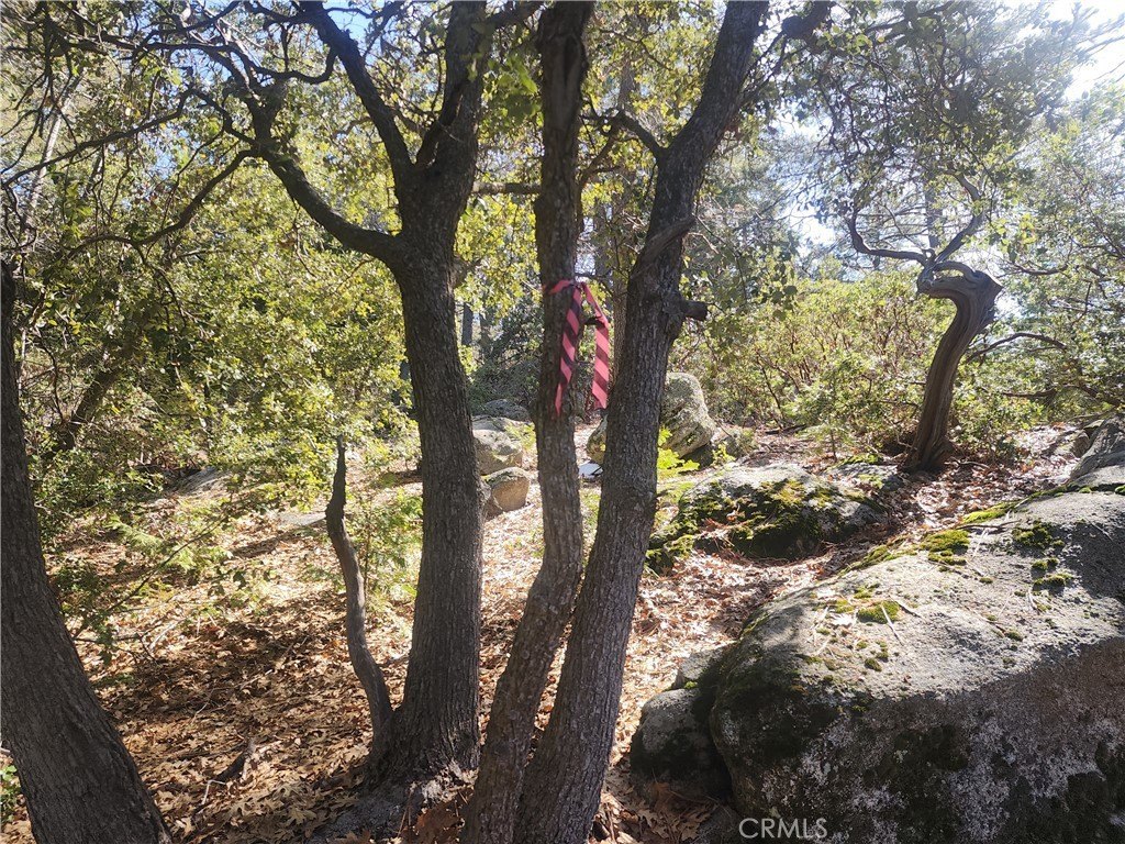 Picture 17