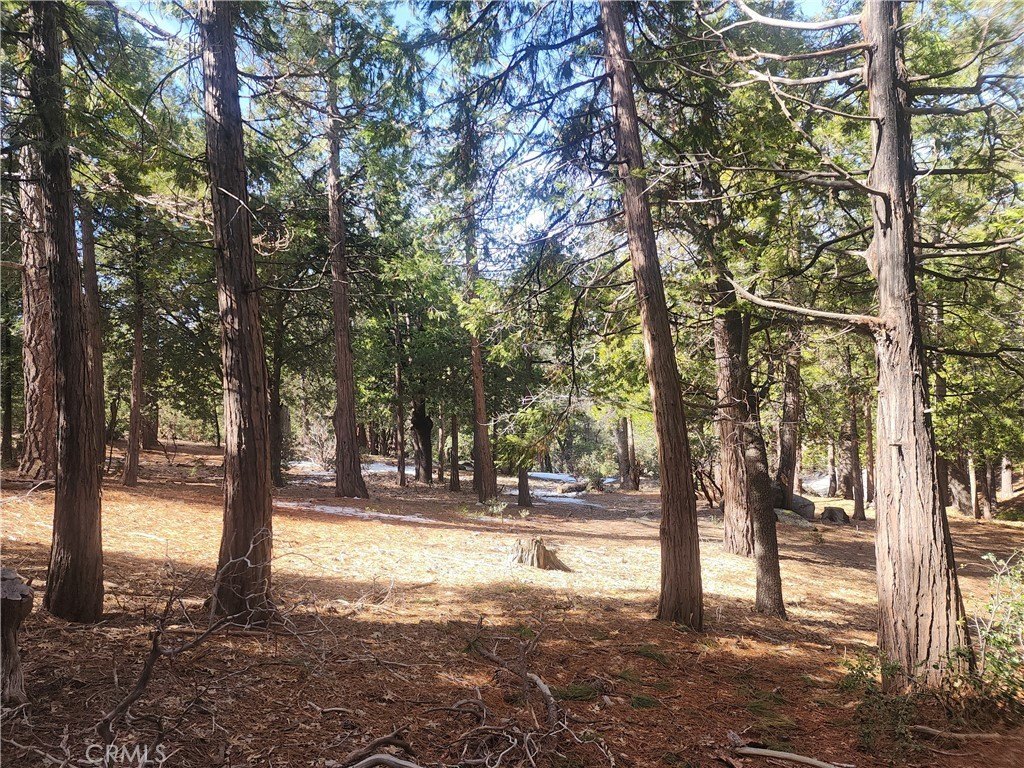 Picture 36