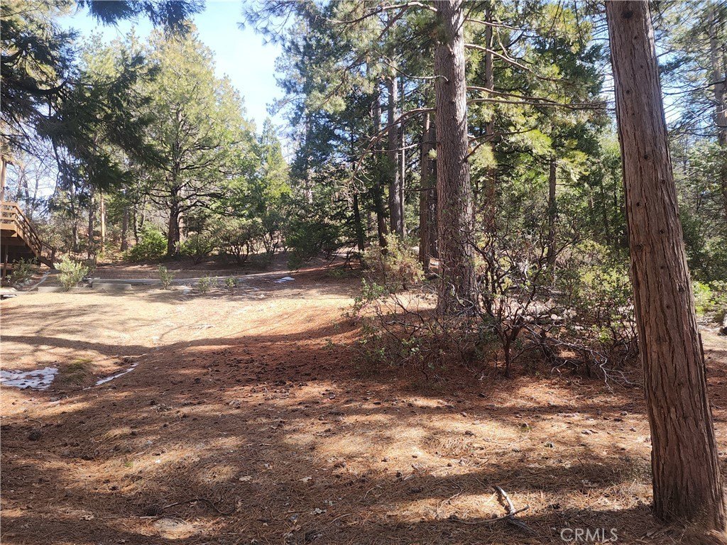 Picture 43