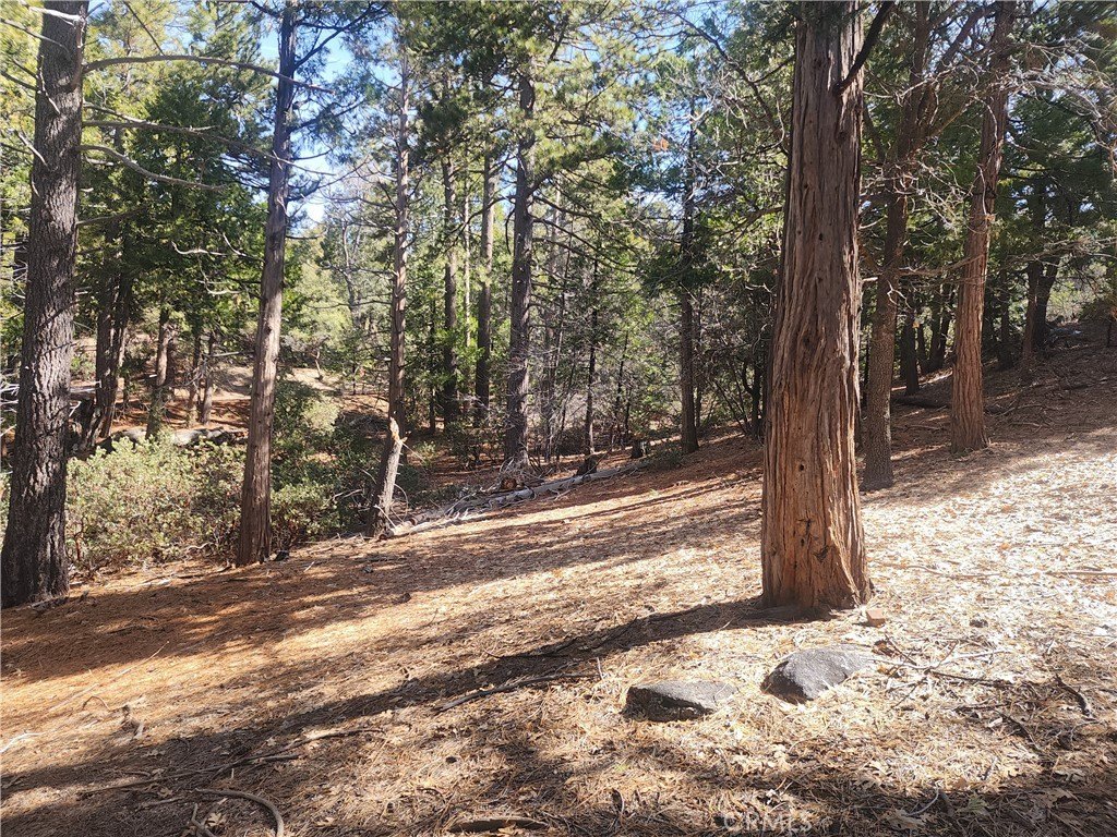 Picture 25