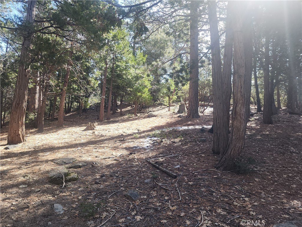 Picture 23
