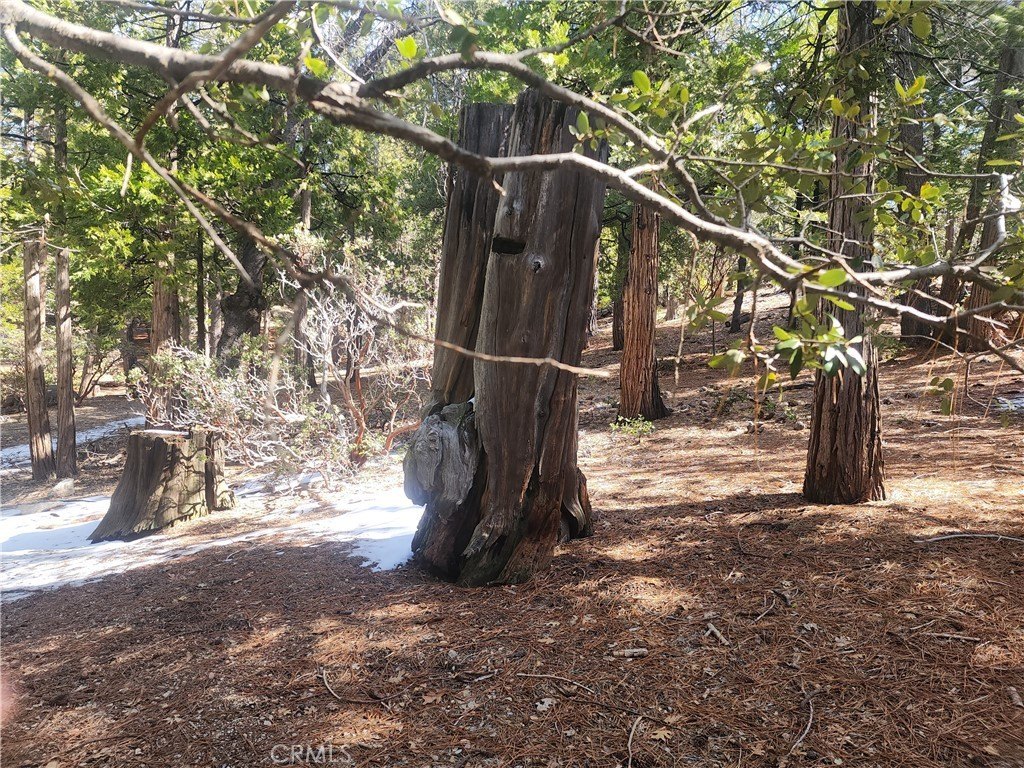 Picture 19