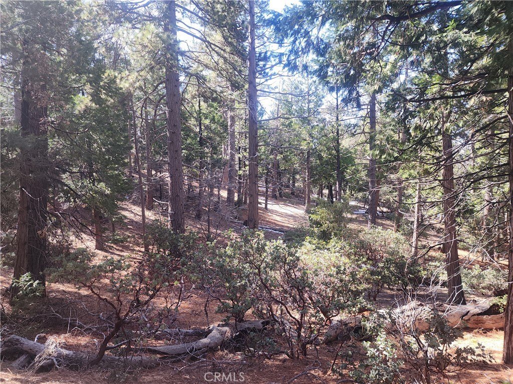 Picture 8