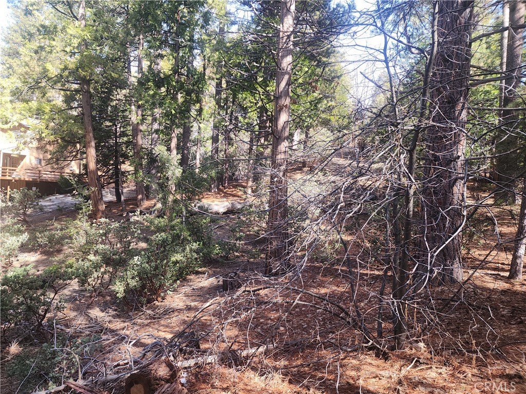Picture 38