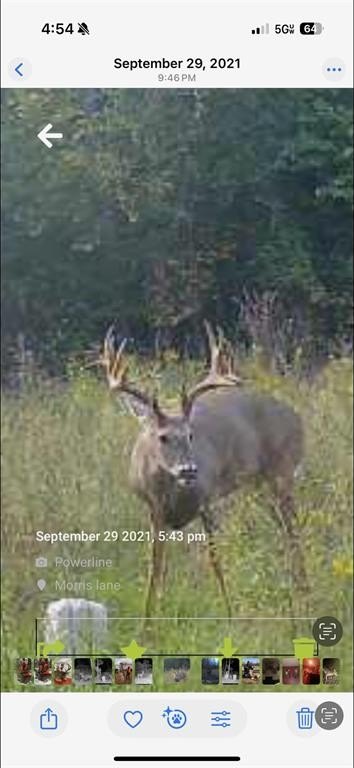 Picture 30