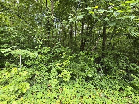 LAND - Dunlap, TN