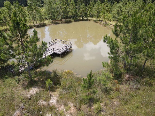 Picture 4