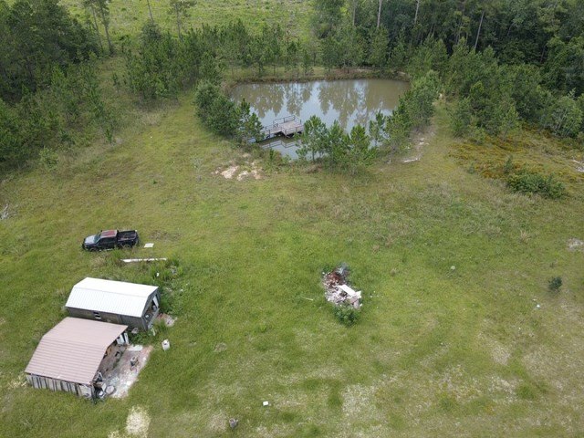 Picture 3