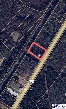 Highway 301 Acreage in Dillon