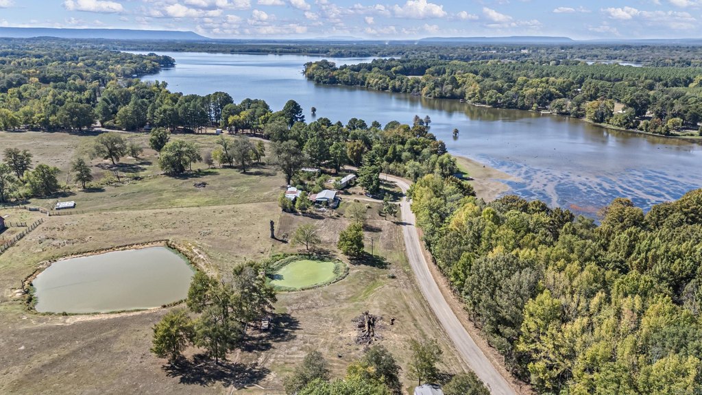 Picture 9