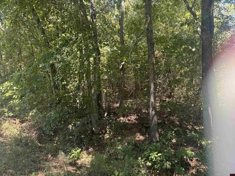 LAND, Bull Shoals, AR