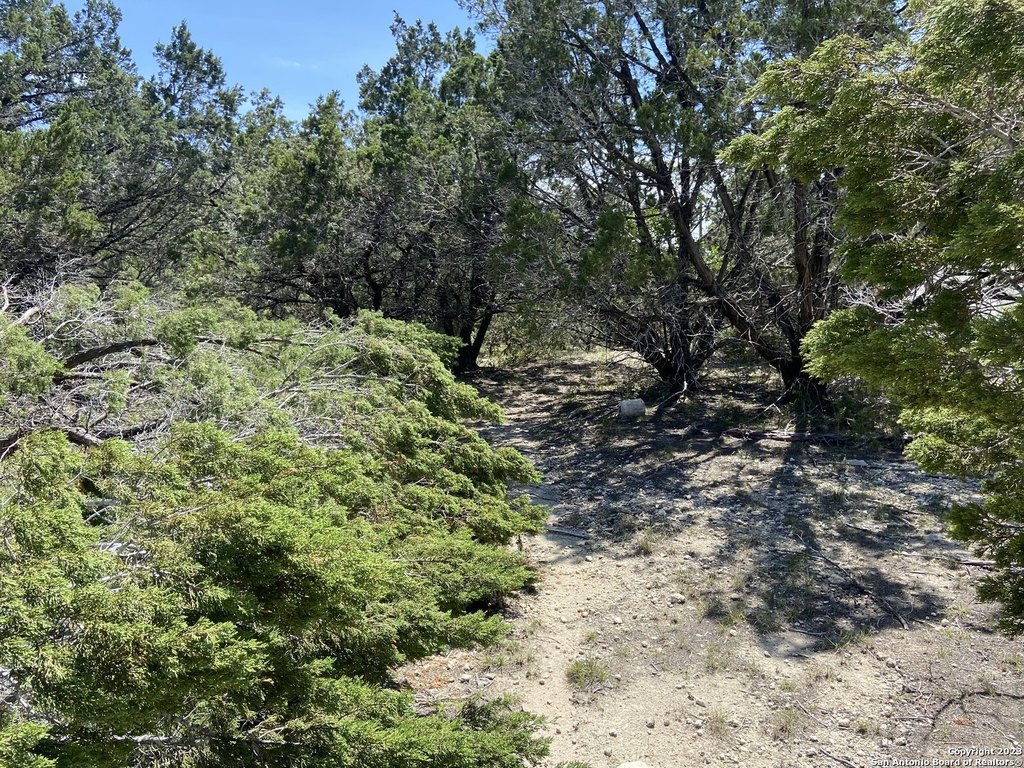 Picture 6