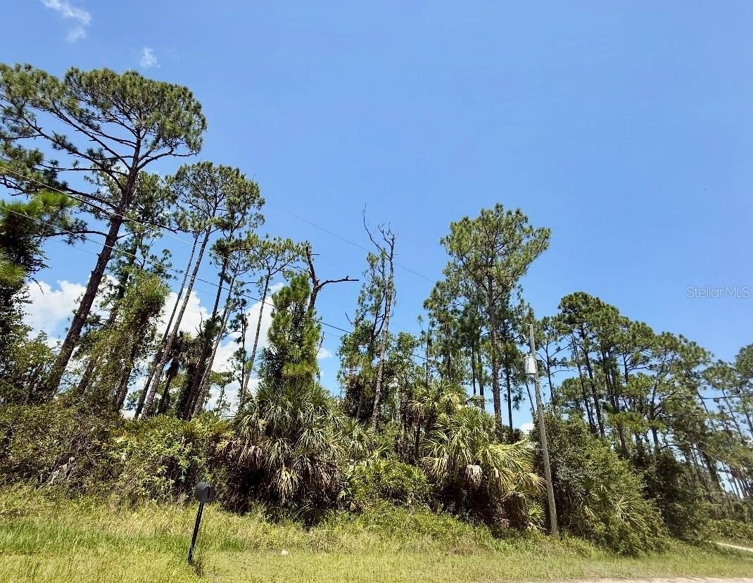 Residential Lot in North Port