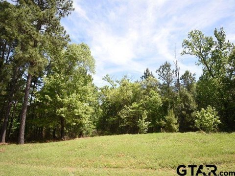 Wooded Residential Lot with Road Frontage