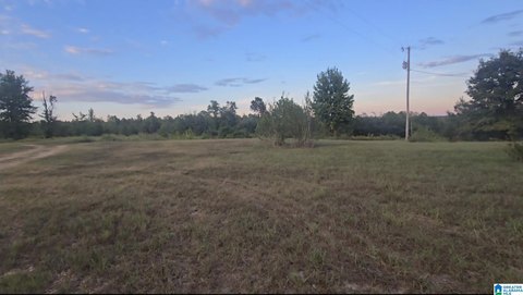 LAND/LOTS, MAPLESVILLE, AL