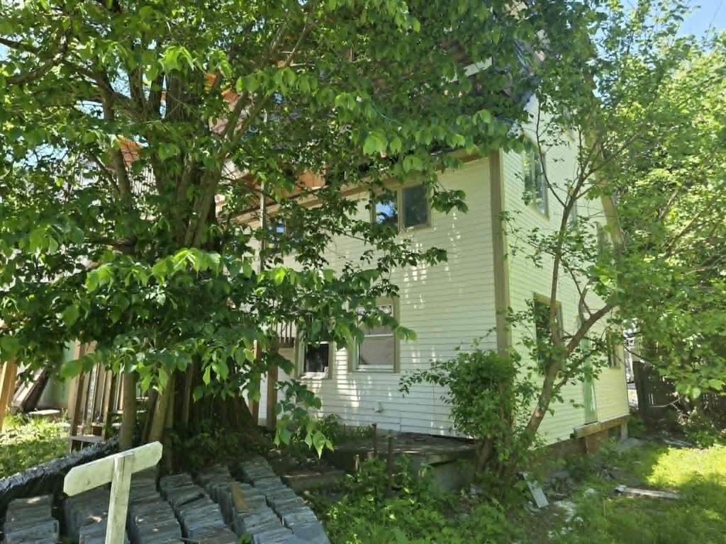 Picture 17