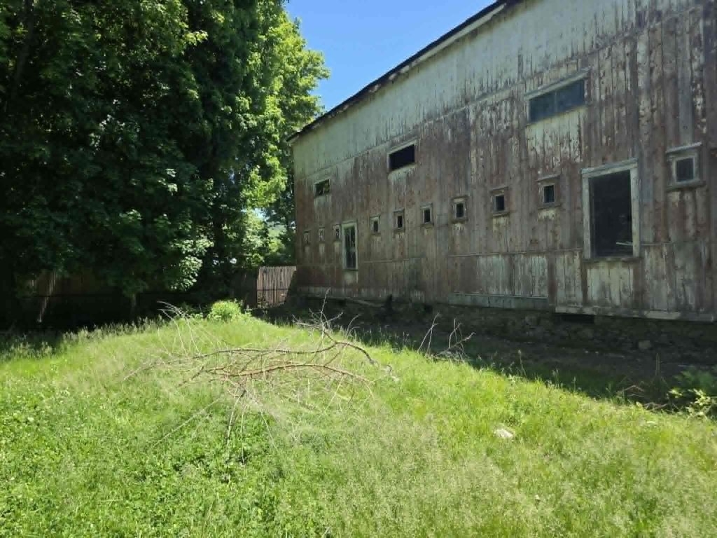 Picture 5