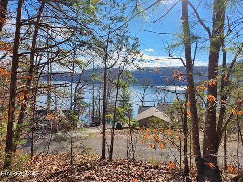 LaFollette Land with Lake Views