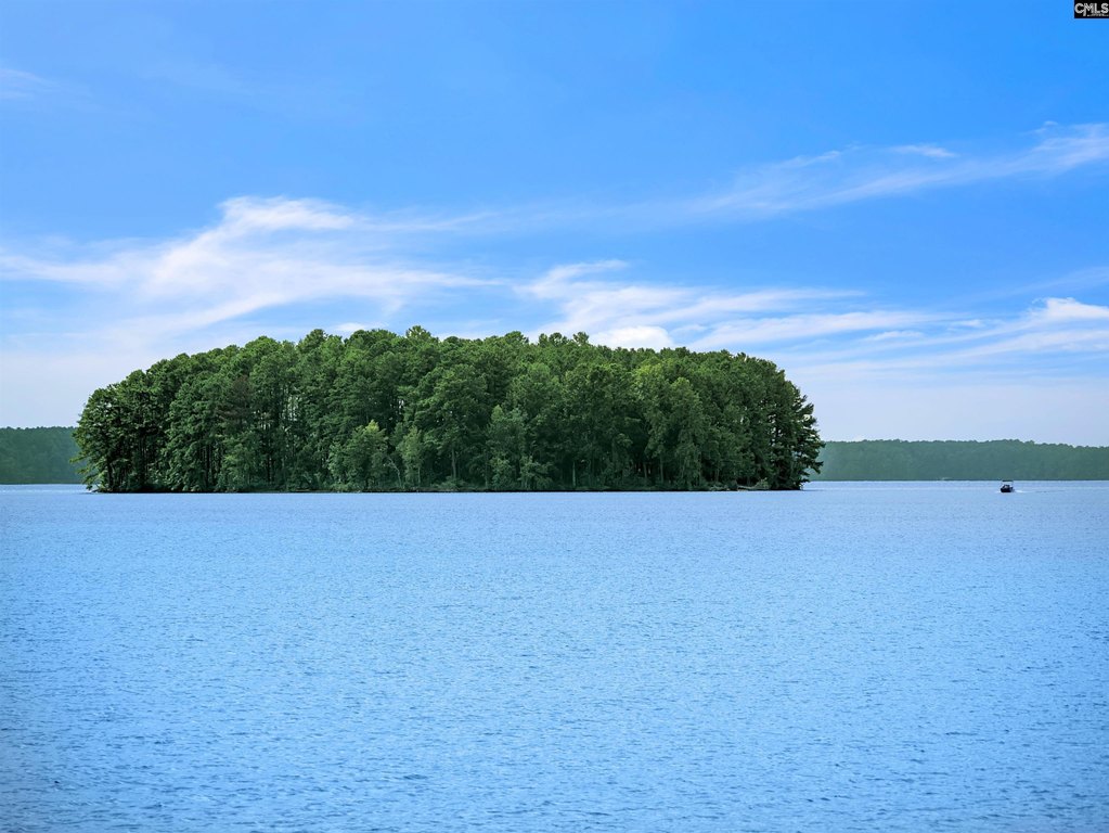 Picture 25