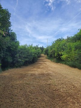 Land, St. Croix, VI