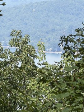 Vacant Lot, Hayesville, NC