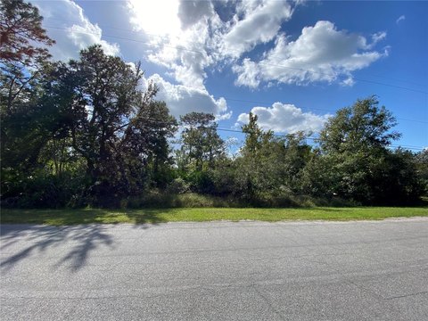Residential Lot in Wedgefield