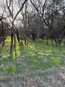 Semi-Cleared Residential Lot