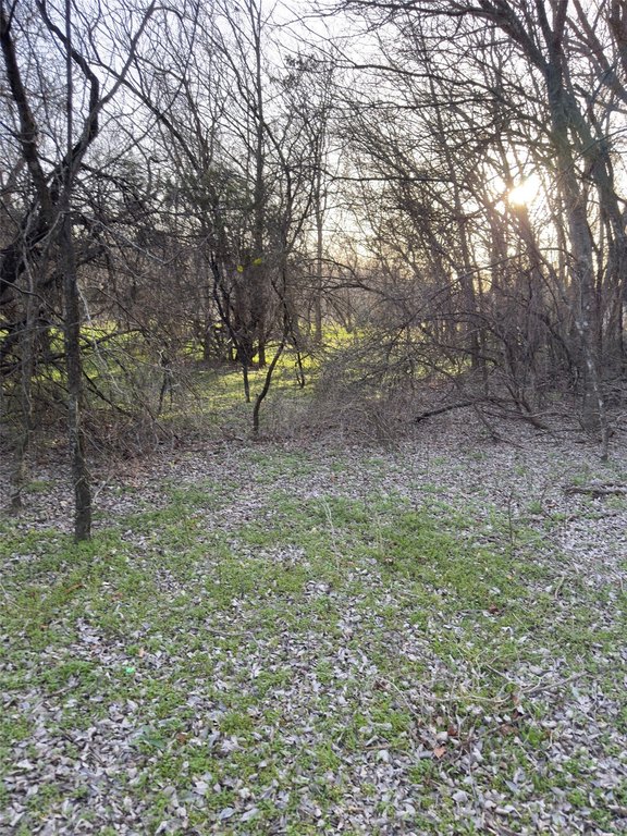 Picture 13