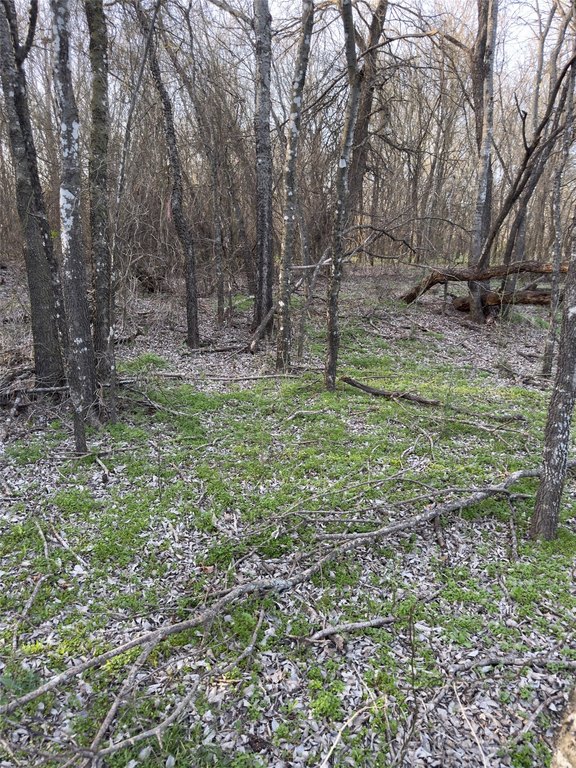 Picture 15