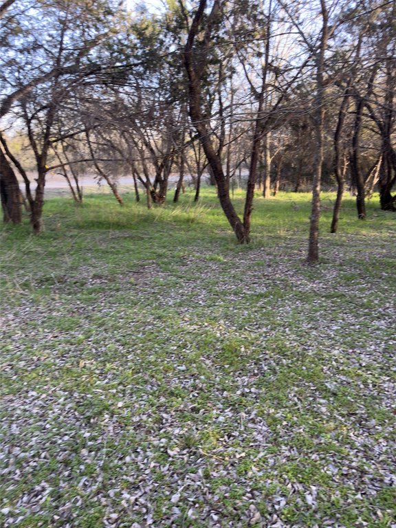 Picture 10