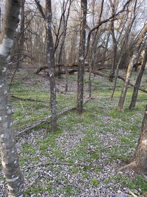 Picture 14