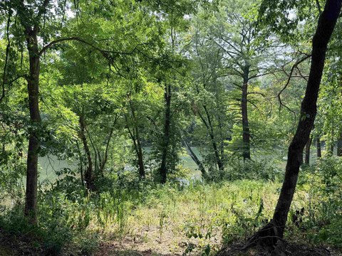 LAND - Pangburn, AR