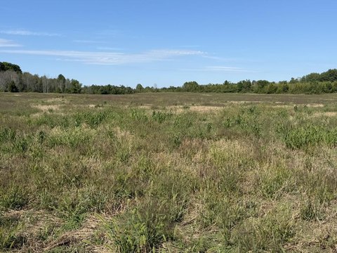 Inland-Land, Sister Bay, WI