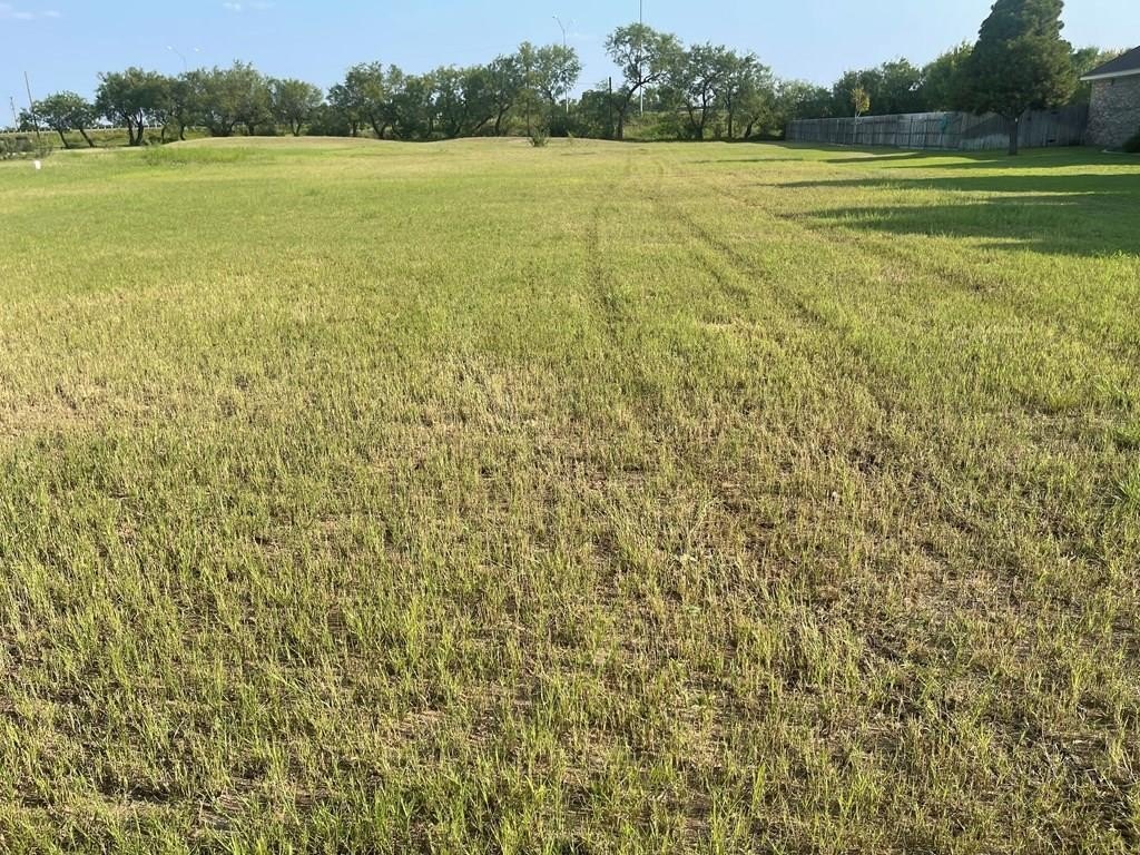 Picture 3