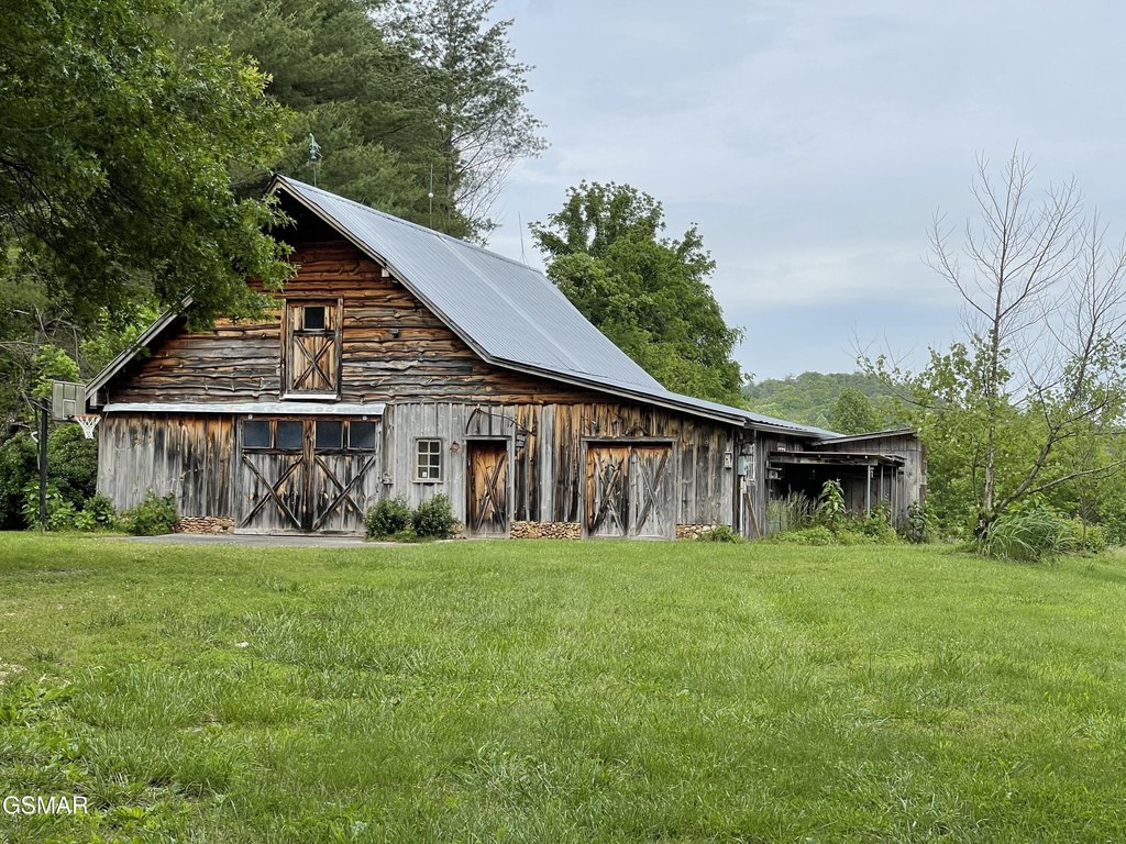 Picture 16