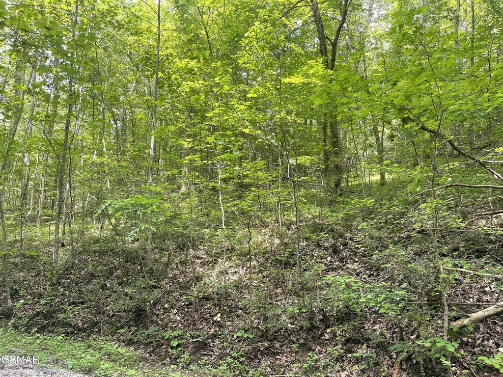 Picture 13