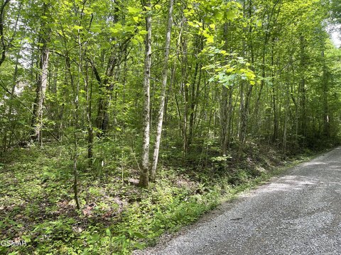 LAND - Sevierville, TN