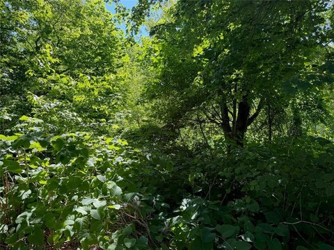 LAND - Staten Island, NY