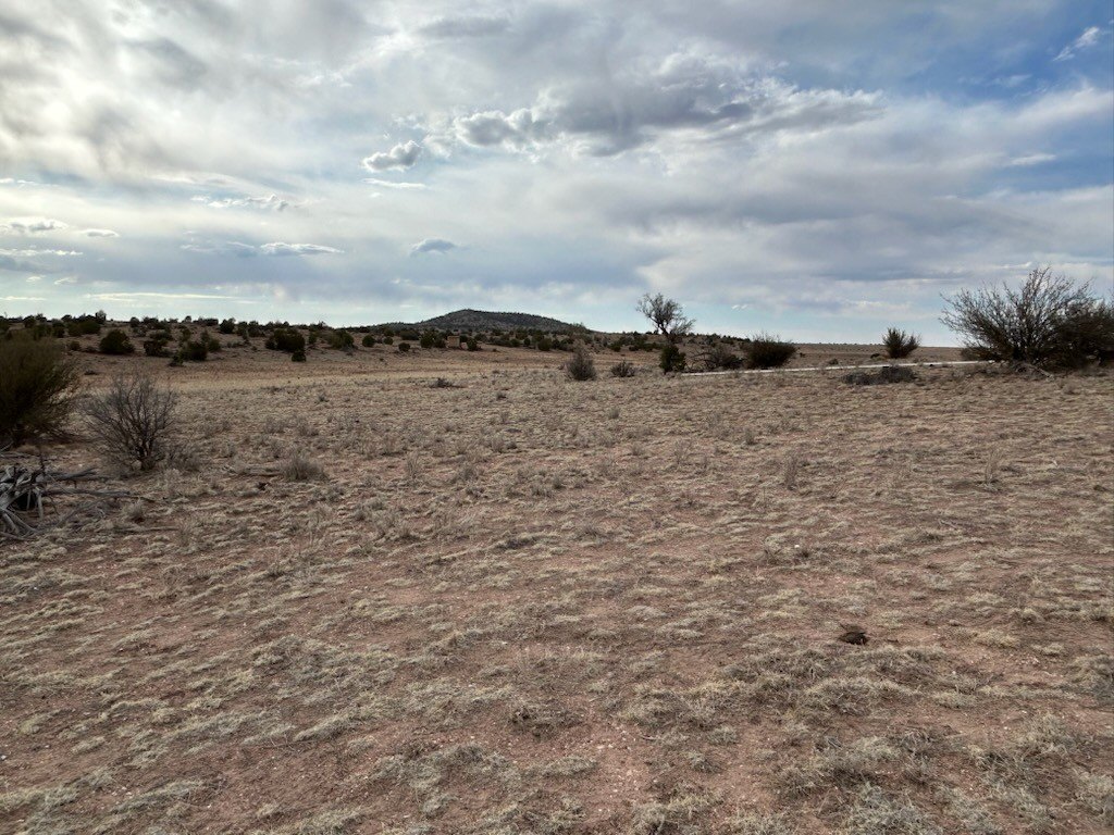 Picture 25