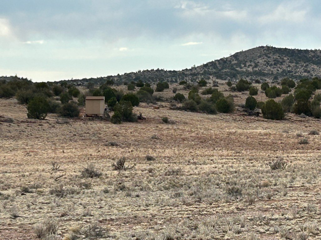 Picture 24