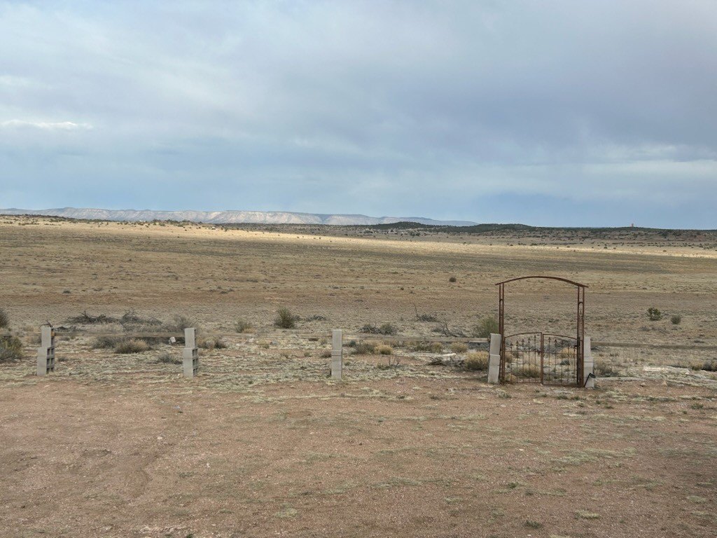 Picture 23