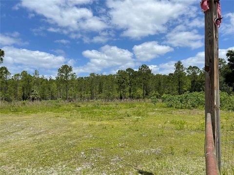 Land, HOMOSASSA, FL